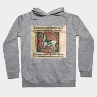 Magical Medieval Unicorn Hoodie